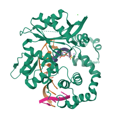 Rcsb Pdb 6p1q Post Catalytic Nicked Complex Of Human Dna Polymerase Mu With 1 Nt Gapped Substrate Containing Template 8og And Newly Incorporated Dcmp