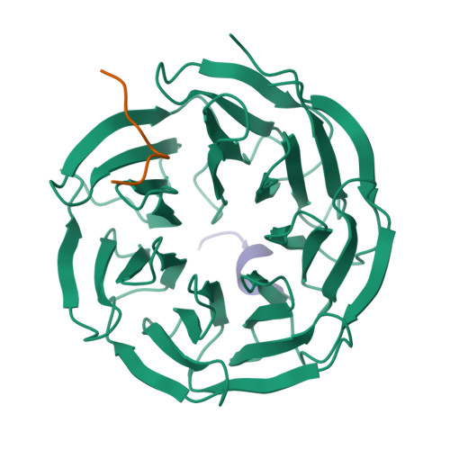 Rcsb Pdb 3p4f Structural And Biochemical Insights Into Mll1 Core Complex Assembly And Regulation