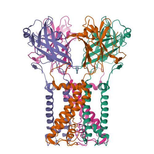 Rcsb Pdb 1p7b Crystal Structure Of An Inward Rectifier Potassium Channel