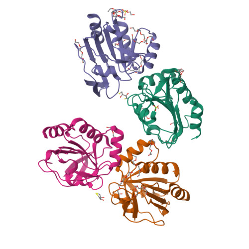 Protein Data Bank: 3P7X