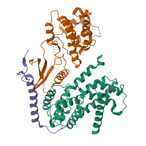 Rcsb Pdb 6p8g Crystal Structure Of Cdk4 In Complex With Cyclind1 And P27