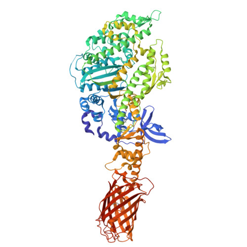 Rcsb Pdb 4pa0 Omecamtiv Mercarbil Binding Site On The Human Beta Cardiac Myosin Motor Domain