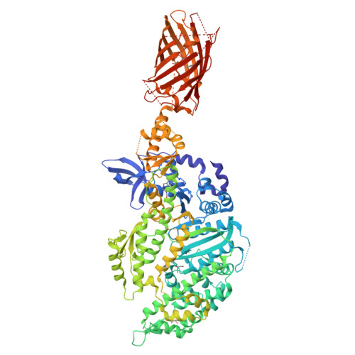 Rcsb Pdb 4pa0 Omecamtiv Mercarbil Binding Site On The Human Beta Cardiac Myosin Motor Domain