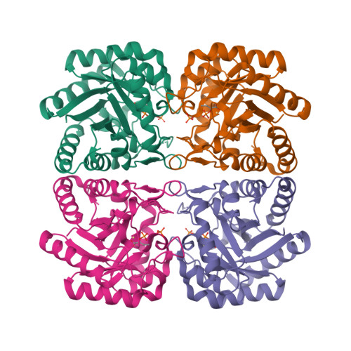 Rcsb Pdb 1pck Aquifex Aeolicus Kdo8ps In Complex With Z Methyl Pep