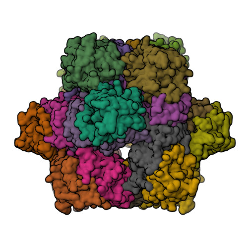 Rcsb Pdb 3pcn Structure Of Protocatechuate 3 4 Dioxygenase Complexed With 3 4 Dihydroxyphenylacetate