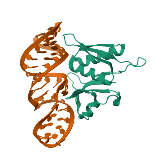 4PDB assembly