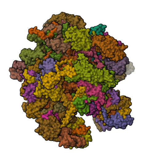 7PD3 assembly