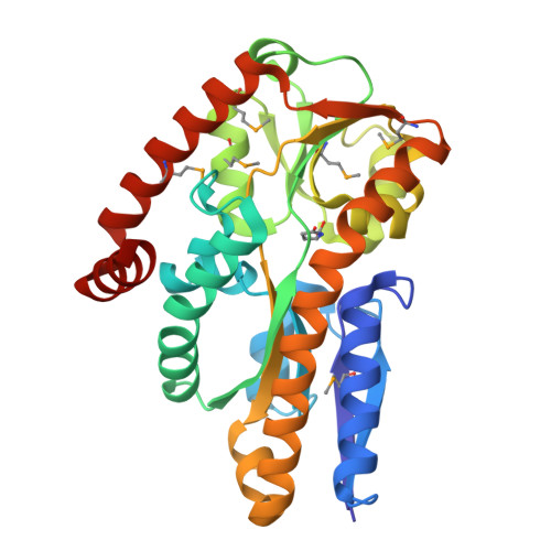 Rcsb Pdb 2pfy Crystal Structure Of Dctp7 A Bordetella Pertussis Extracytoplasmic Solute Receptor Binding Pyroglutamic Acid