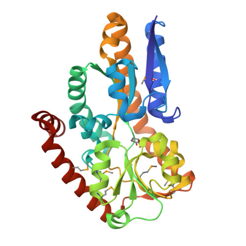 Rcsb Pdb 2pfy Crystal Structure Of Dctp7 A Bordetella Pertussis Extracytoplasmic Solute Receptor Binding Pyroglutamic Acid
