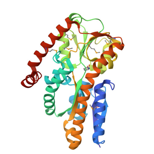 Rcsb Pdb 2pfy Crystal Structure Of Dctp7 A Bordetella Pertussis Extracytoplasmic Solute Receptor Binding Pyroglutamic Acid