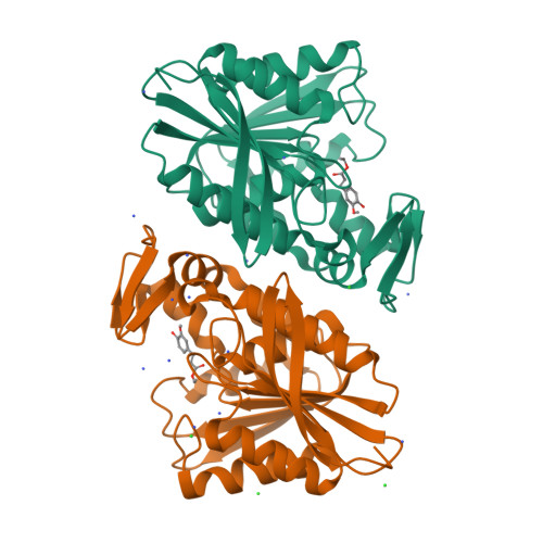 Rcsb Pdb 3pfb Crystal Structure Of The Lactobacillus Johnsonii Cinnamoyl Esterase Lj0536 S106a Mutant In Complex With Ethylferulate