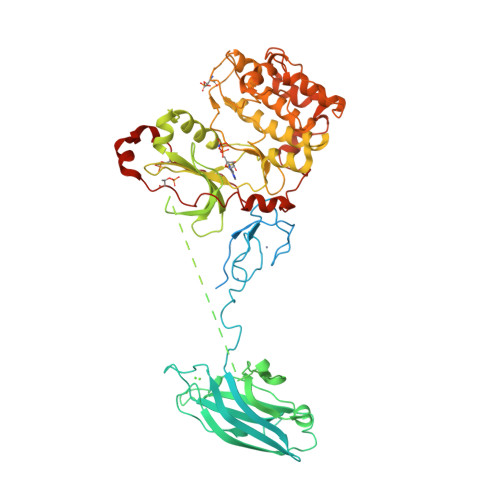 Rcsb Pdb 3pfq Crystal Structure And Allosteric Activation Of Protein Kinase C Beta Ii