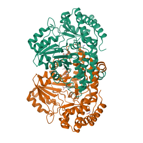 Protein Data Bank: 3PGY