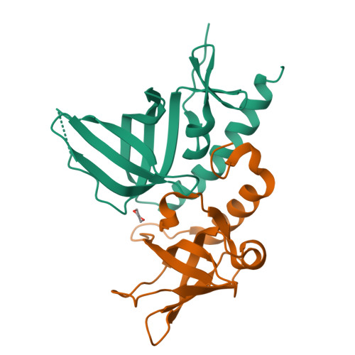 Rcsb Pdb 2pi2 Full Length Replication Protein A Subunits Rpa14 And Rpa32