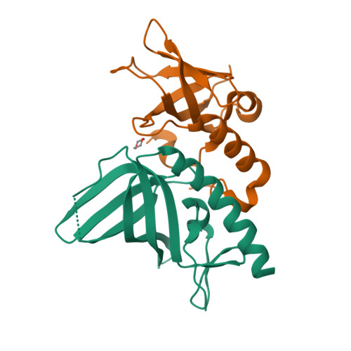 Rcsb Pdb 2pi2 Full Length Replication Protein A Subunits Rpa14 And Rpa32