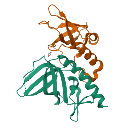 Rcsb Pdb 2pi2 Full Length Replication Protein A Subunits Rpa14 And Rpa32