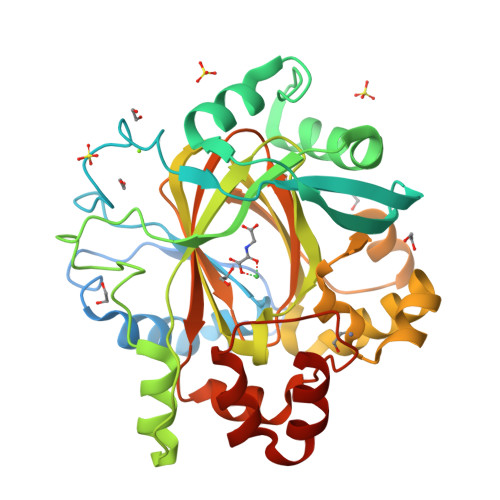 Rcsb Pdb 5pi3 Pandda Analysis Group Deposition Crystal Structure Of Jmjd2d After Initial Refinement With No Ligand Modelled Structure 16