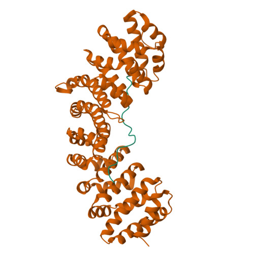 Rcsb Pdb 1pjm Mouse Importin Alpha Bipartite Nls From Human Retinoblastoma Protein Complex