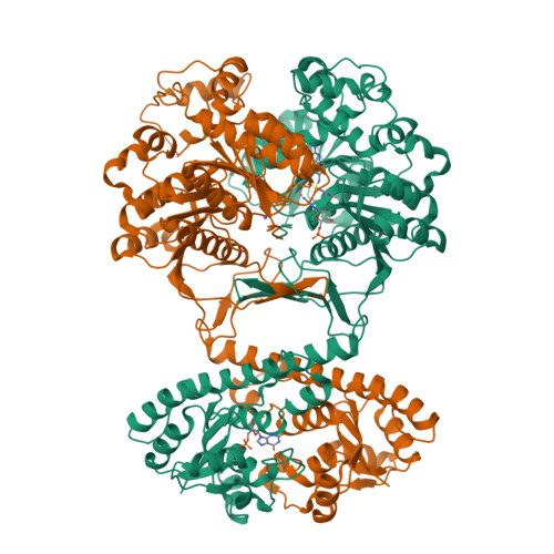 Rcsb Pdb 1pl0 Crystal Structure Of Human Atic In Complex With Folate Based Inhibitor Bw2315uuc