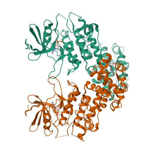 Rcsb Pdb 4pl3 Crystal Structure Of Murine Ire1 In Complex With Mkc9989 Inhibitor