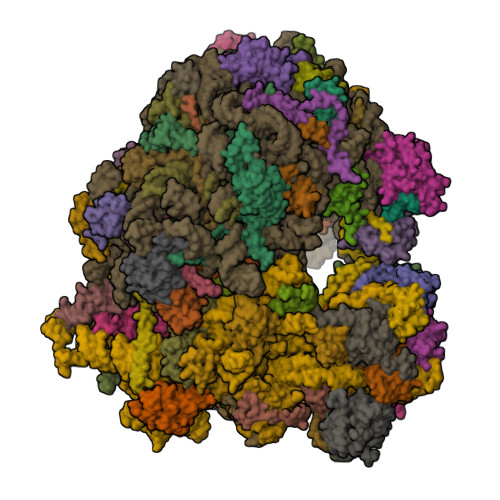 8PNN assembly