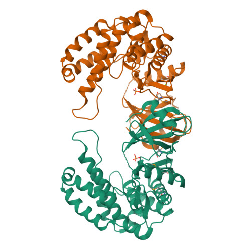 Rcsb Pdb 2ppq Crystal Structure Of The Homoserine Kinase From Agrobacterium Tumefaciens