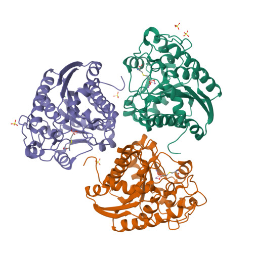 Rcsb Pdb 1pq3 Human Arginase Ii Crystal Structure And Physiological Role In Male And Female Sexual Arousal