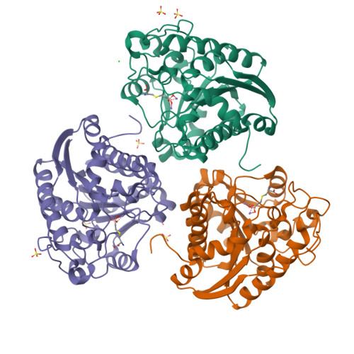 Rcsb Pdb 1pq3 Human Arginase Ii Crystal Structure And Physiological Role In Male And Female Sexual Arousal