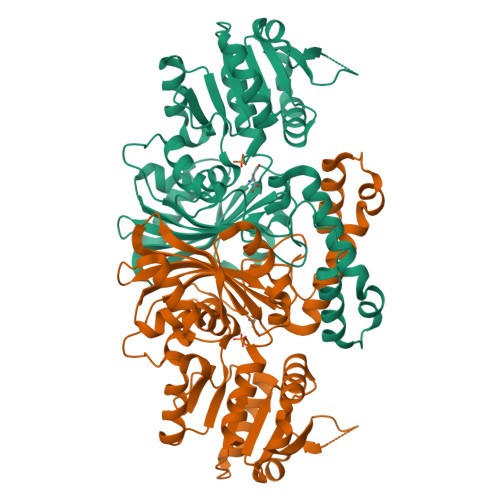 Rcsb Pdb 1pqp Crystal Structure Of The C136s Mutant Of Aspartate Semialdehyde Dehydrogenase From Haemophilus Influenzae Bound With Aspartate Semialdehyde And Phosphate