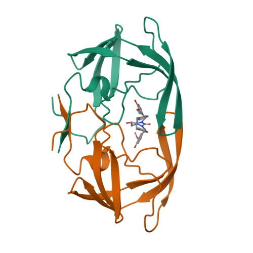 Rcsb Pdb 1pro Hiv 1 Protease Dimer Complexed With A 981