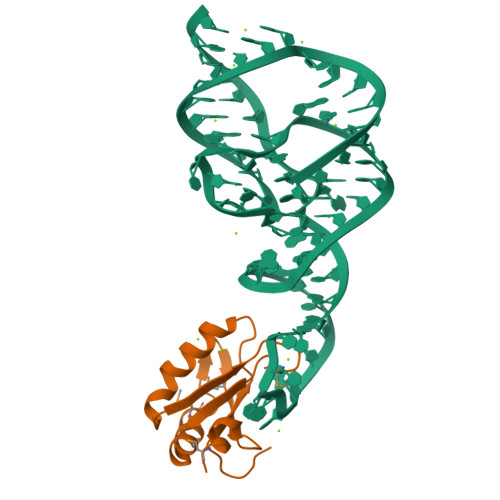 4PR6 assembly