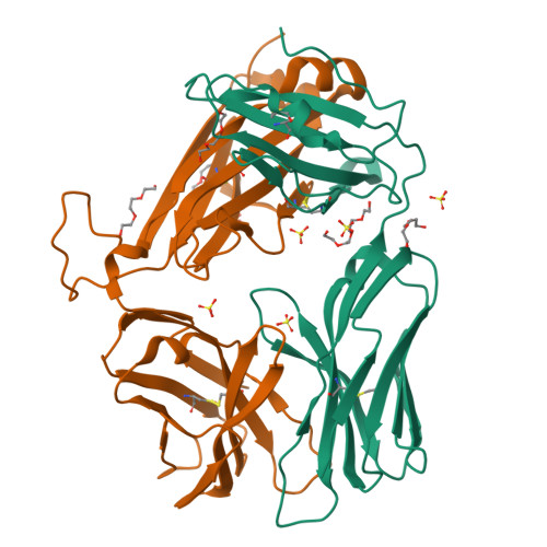 Rcsb Pdb 2pyf Crystal Structures Of High Affinity Human T Cell Receptors Bound To Pmhc Revealnative Diagonal Binding Geometry Unbound Tcr Clone 5 1