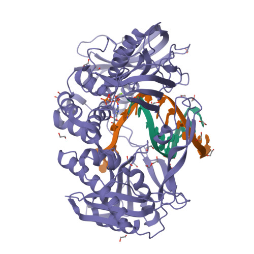 Rcsb Pdb 2pyj Phi29 Dna Polymerase Complexed With Primer Template Dna And Incoming Nucleotide Substrates Ternary Complex