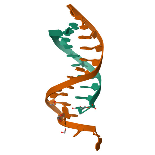 Rcsb Pdb 2pyj Phi29 Dna Polymerase Complexed With Primer Template Dna And Incoming Nucleotide Substrates Ternary Complex