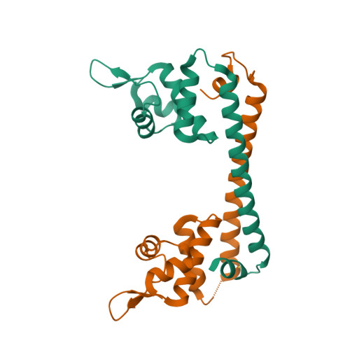 Rcsb Pdb 1q07 Crystal Structure Of The Au I Form Of E Coli Cuer A Copper Efflux Regulator