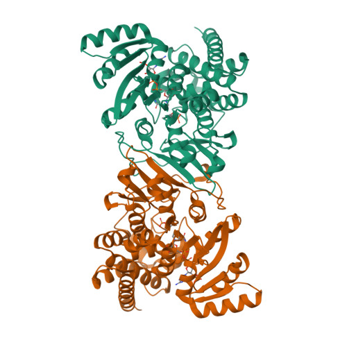 Rcsb Pdb 1q0q Crystal Structure Of Dxr In Complex With The Substrate 1 Deoxy D Xylulose 5 Phosphate