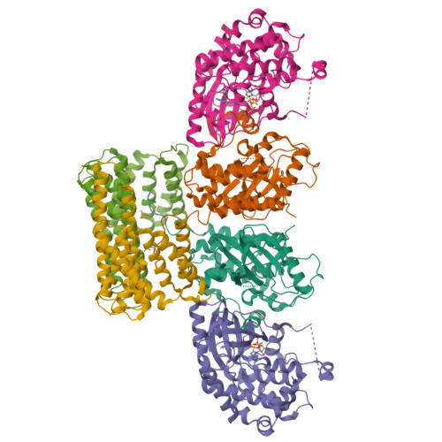 Rcsb Pdb 6q0j Structure Of A Mapk Pathway Complex