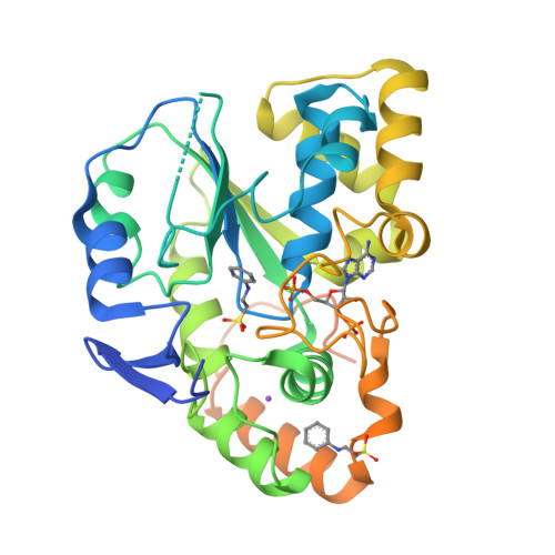 Rcsb Pdb 1q1q Crystal Structure Of Human Pregnenolone Sulfotransferase Sult2b1a In The Presence Of Pap