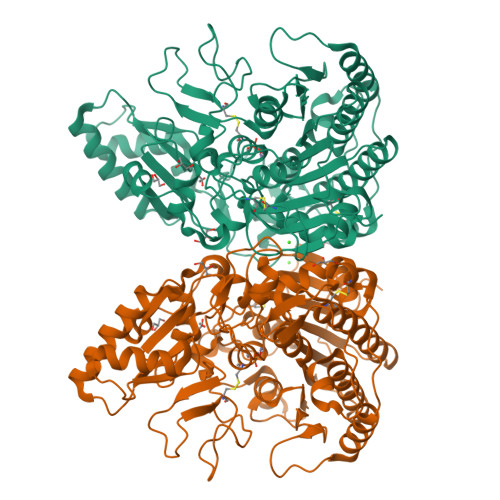 Rcsb Pdb 3q3q Crystal Structure Of Spap An Novel Alkaline Phosphatase From Bacterium Sphingomonas Sp Strain Bsar 1