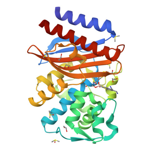 Rcsb Pdb 6q35 Crystal Structure Of Ges 5 Beta Lactamase In Complex With Boronic Inhibitor Cpd 3