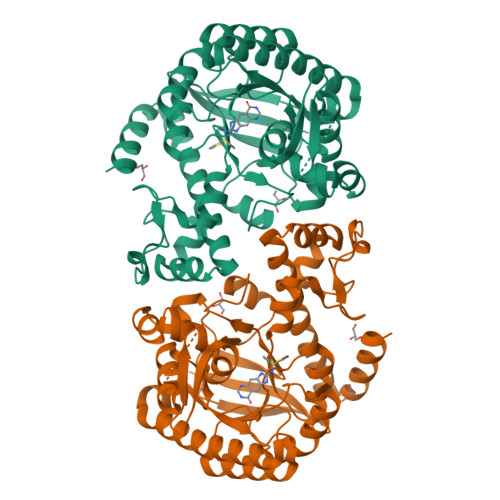 Rcsb Pdb 4q4q Trna Guanine Transglycosylase Tgt In Complex With 2 Thiophen 2 Ylmethyl Amino 1h 7h 8h Imidazo 4 5 G Quinazolin 8 One