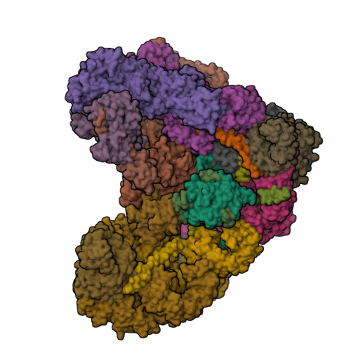 Rcsb Pdb 6q6g Cryo Em Structure Of The Apc C Cdc20 Cdk2 Cyclina2 Cks2 Complex The D1 Box Class