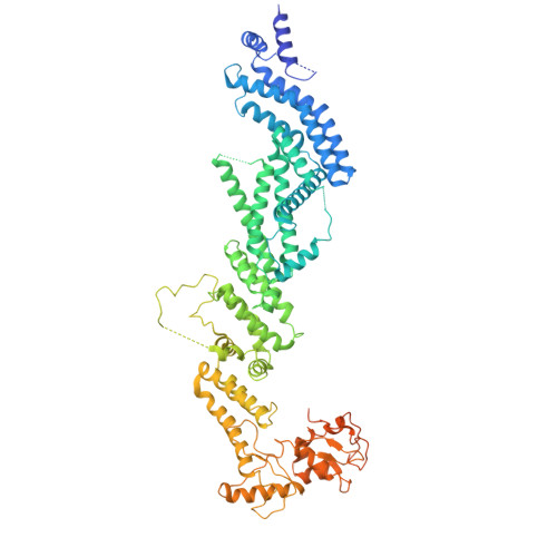 Rcsb Pdb 6q6g Cryo Em Structure Of The Apc C Cdc20 Cdk2 Cyclina2 Cks2 Complex The D1 Box Class