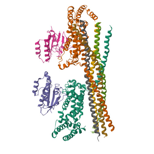 4q9u Crystal Structure Of The Rab5 Rabex 5delta And Rabaptin 5c21 Complex Rcsb Pdb