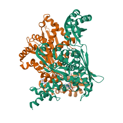 Rcsb Pdb 1qax Ternary Complex Of Pseudomonas Mevalonii Hmg Coa Reductase With Hmg Coa And Nad