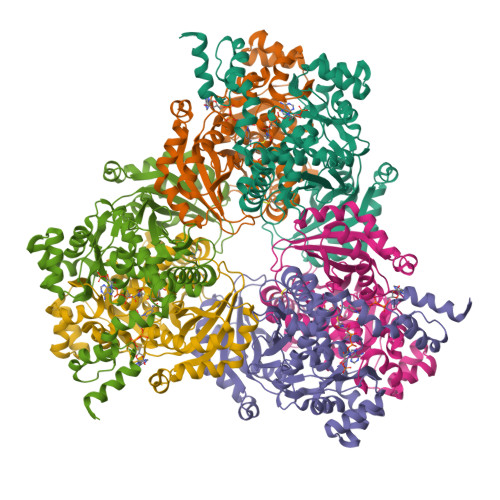 Rcsb Pdb 1qax Ternary Complex Of Pseudomonas Mevalonii Hmg Coa Reductase With Hmg Coa And Nad