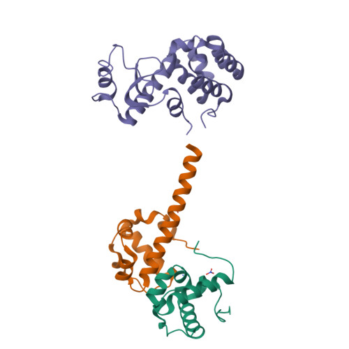 Rcsb Pdb 2qar Structure Of The 2tel Crystallization Module Fused To T4 Lysozyme With A Helical Linker