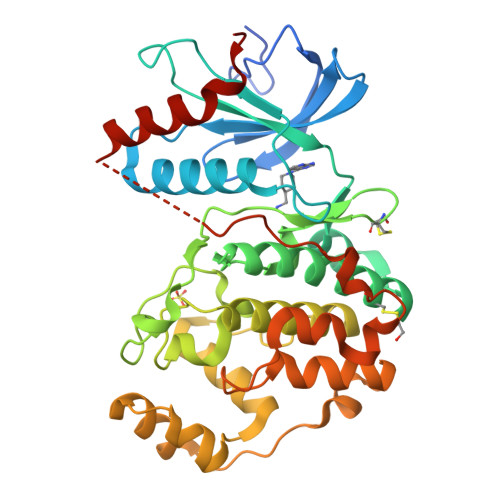 Rcsb Pdb 6qaw Erk2 Mini Fragment Binding