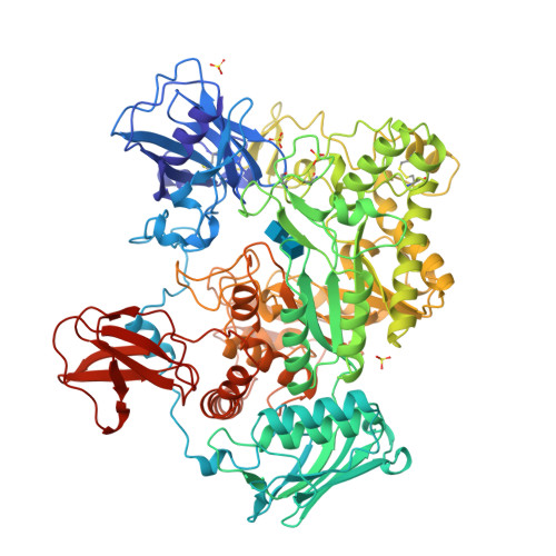 Rcsb Pdb 1qbb Bacterial Chitobiase Complexed With Chitobiose Dinag