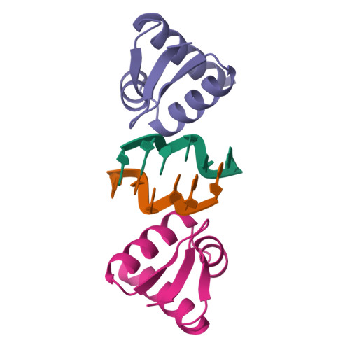 Rcsb Pdb 1qbj Crystal Structure Of The Zalpha Z Dna Complex